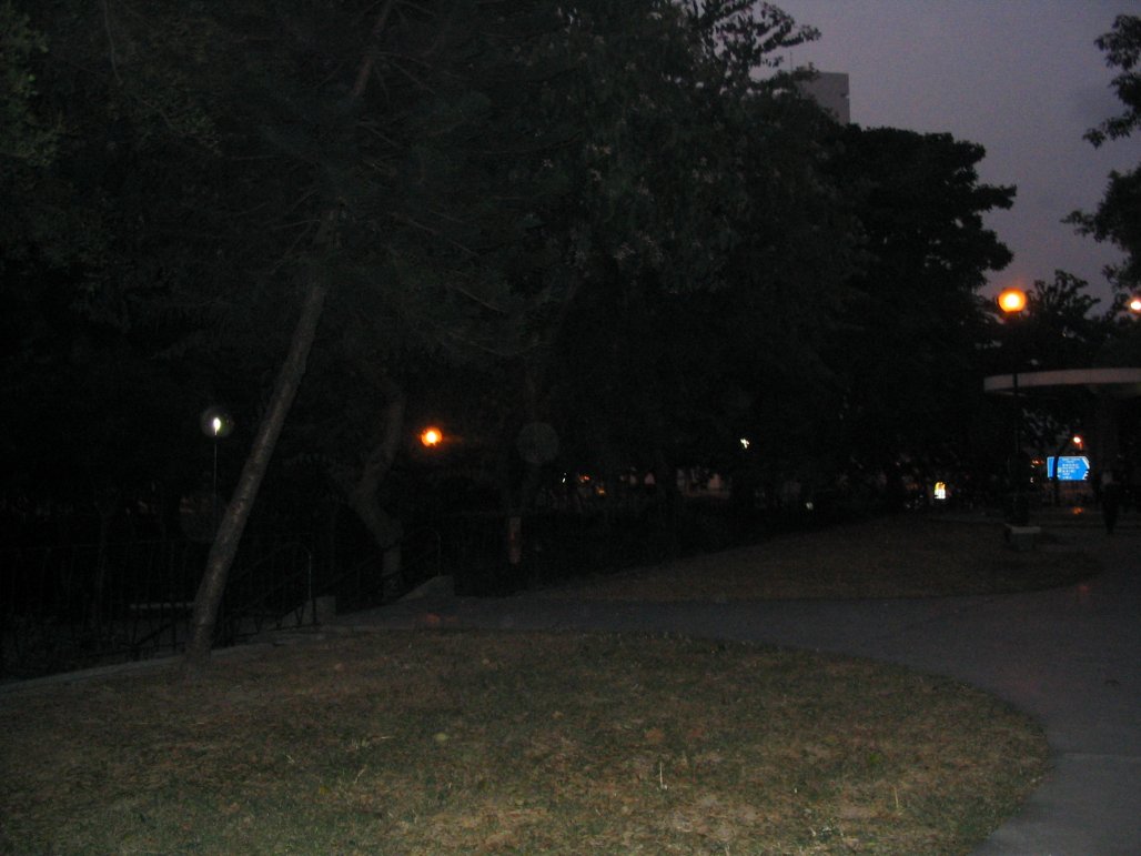 local park at dawn2.jpg